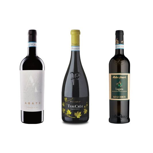 Probierpaket Lugana – jeder Winzer mit eigener Prägung